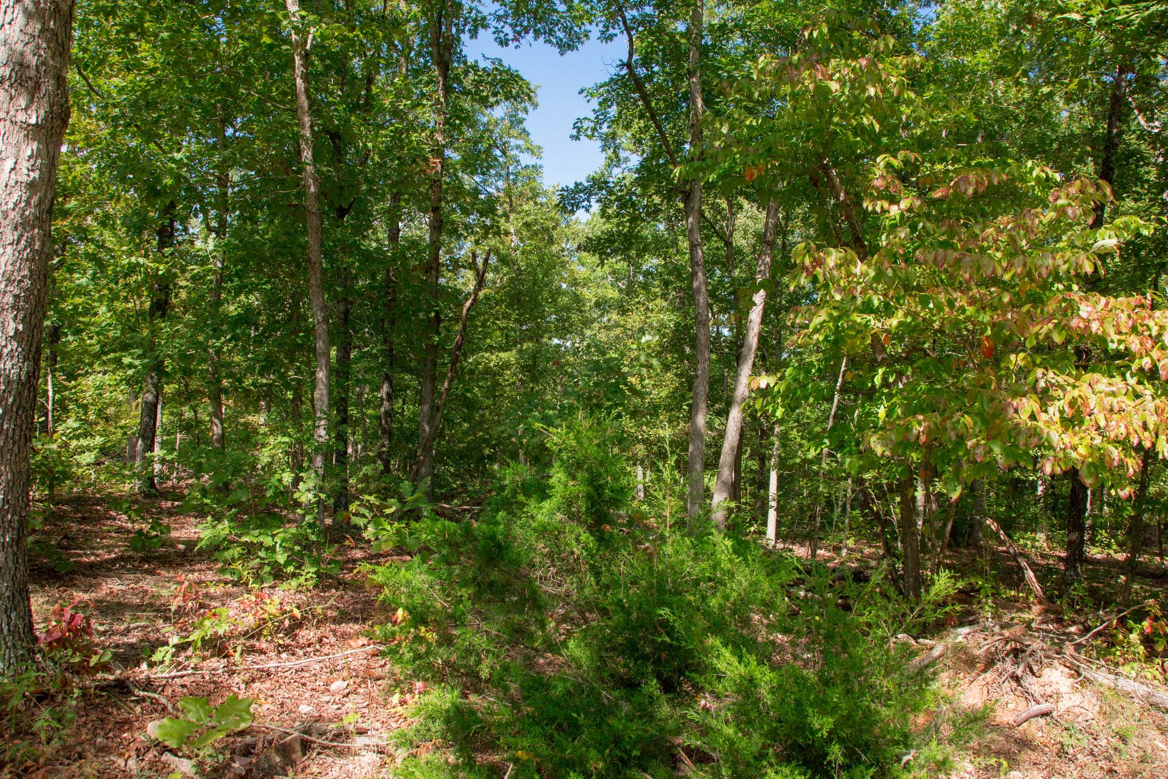 Wagon Wheel Ranch Tract 34 photo 23