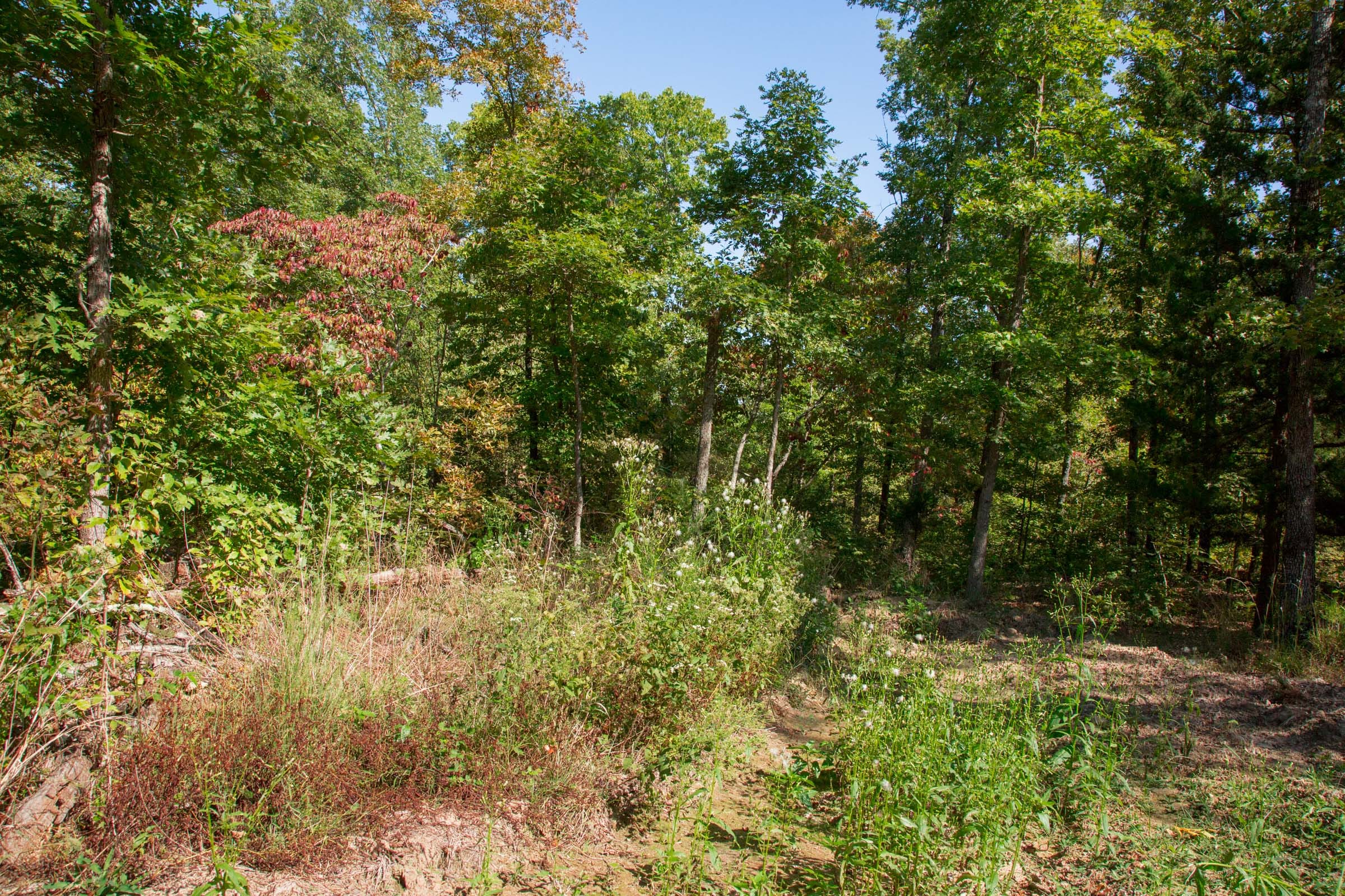 Wagon Wheel Ranch Tract 34 photo 24