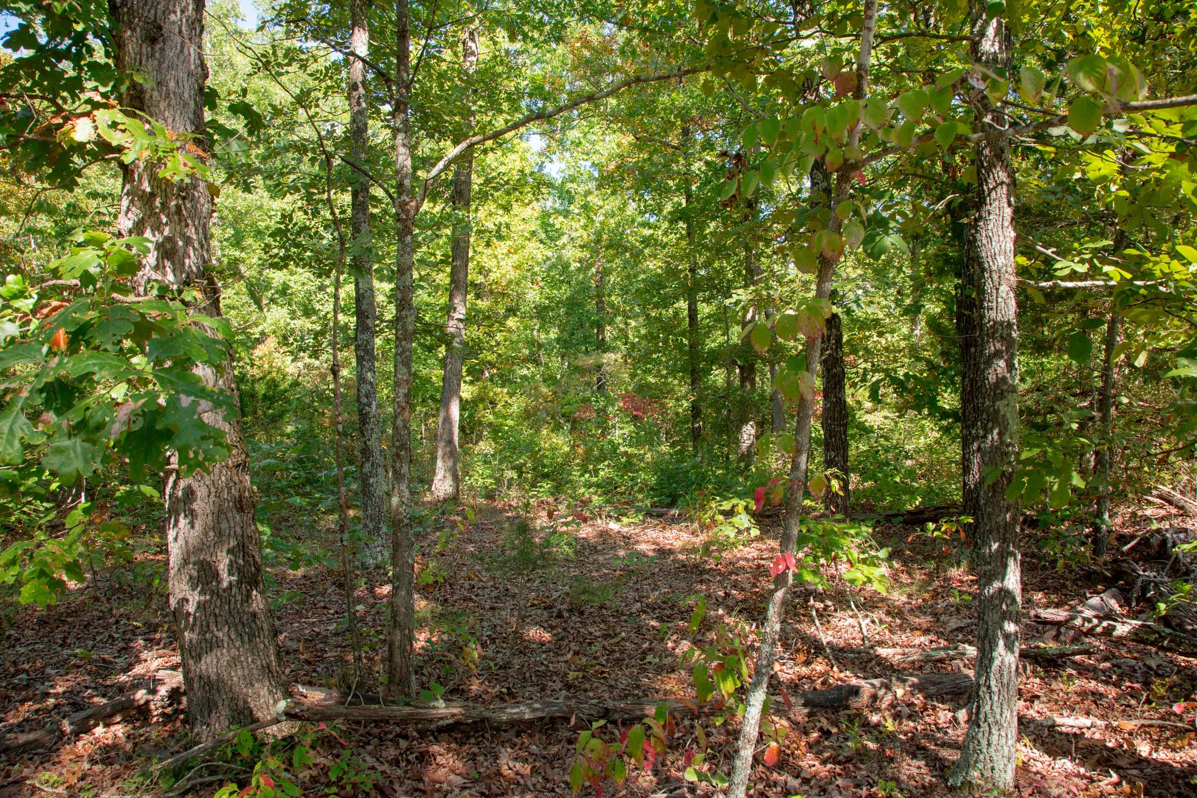 Wagon Wheel Ranch Tract 34 photo 26