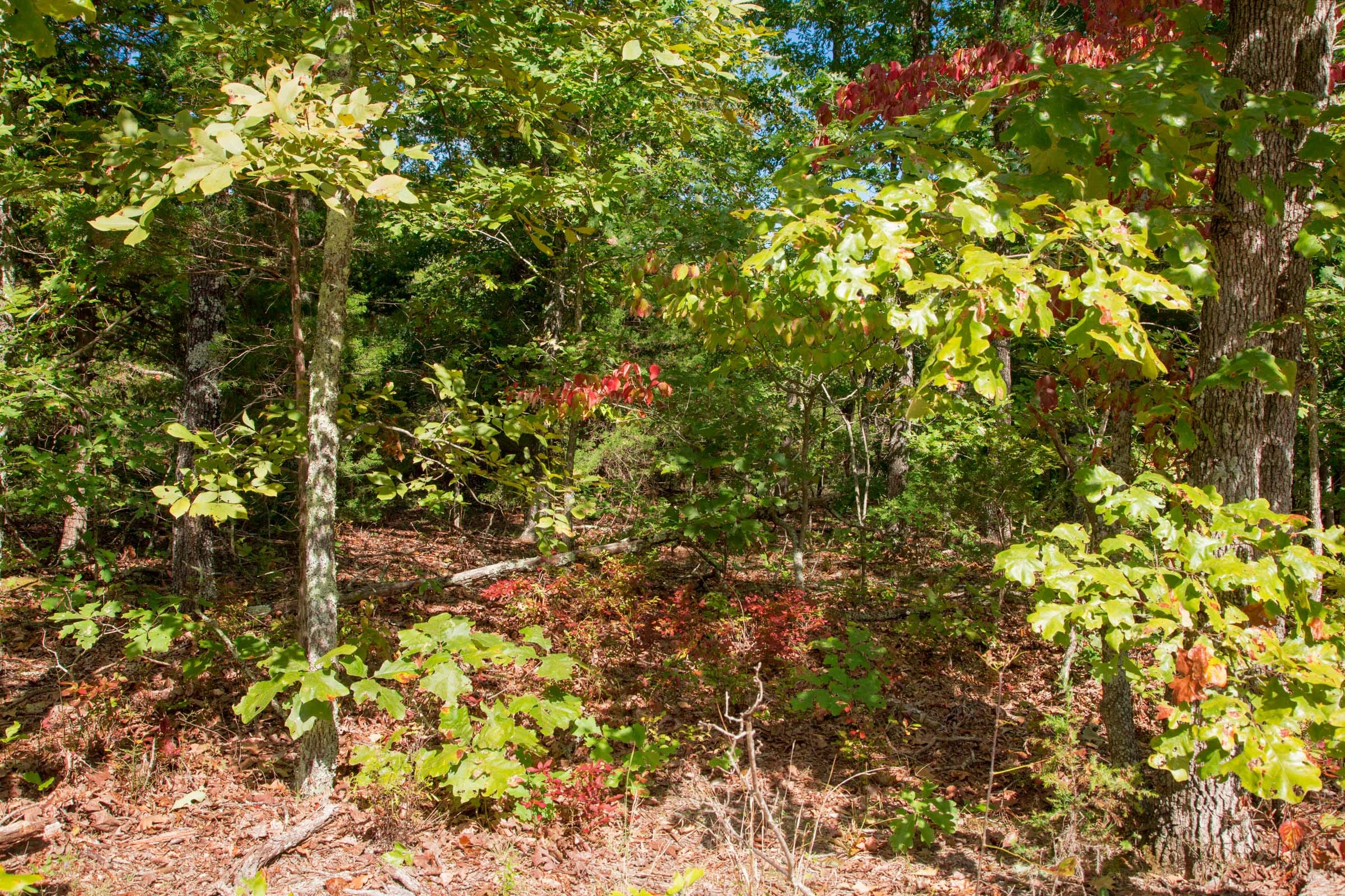 Wagon Wheel Ranch Tract 34 photo 27