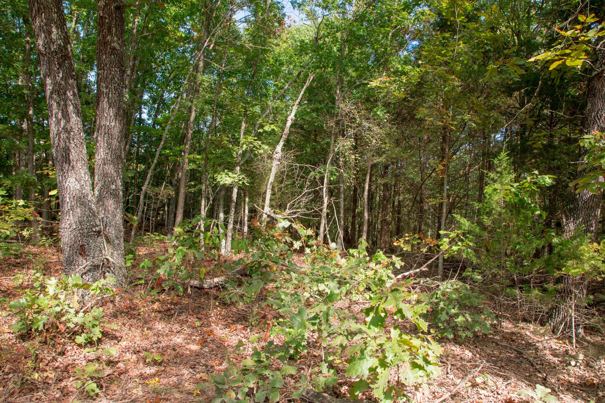 Wagon Wheel Ranch Tract 34 photo 28