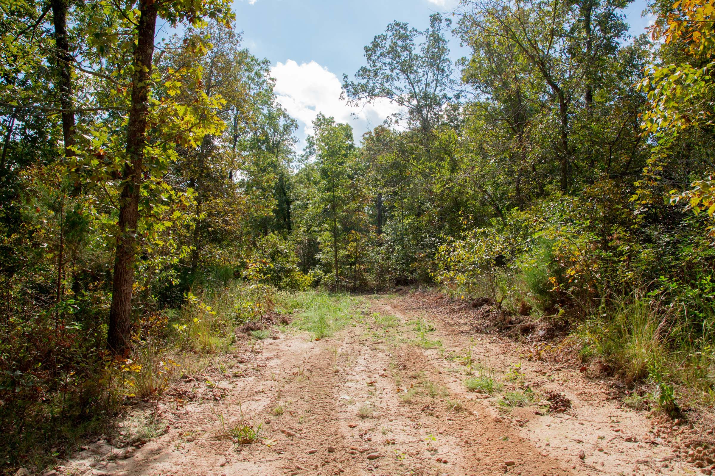 Wagon Wheel Ranch Tract 34 photo 25