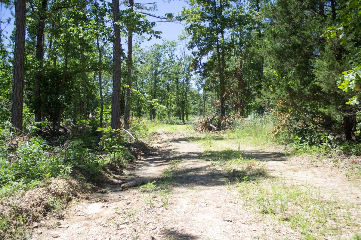 Timber Crossing Tract 22 photo 2