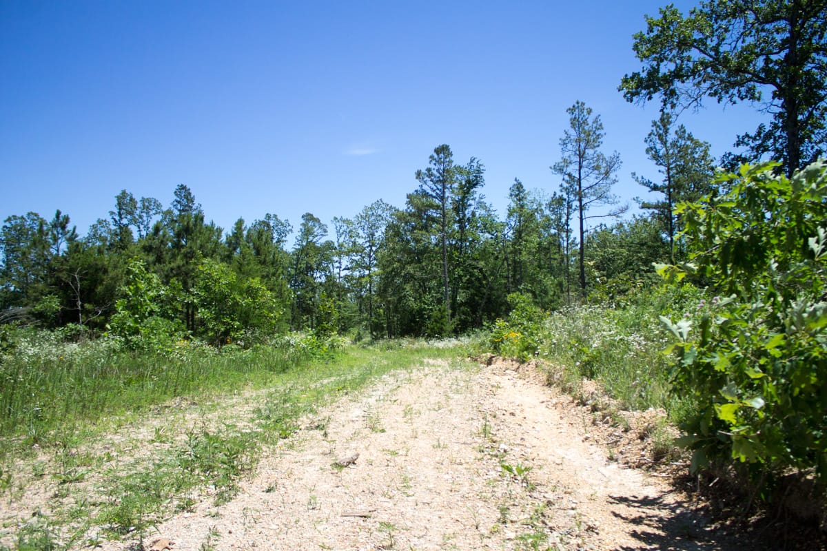 Timber Crossing Tract 22 photo 3