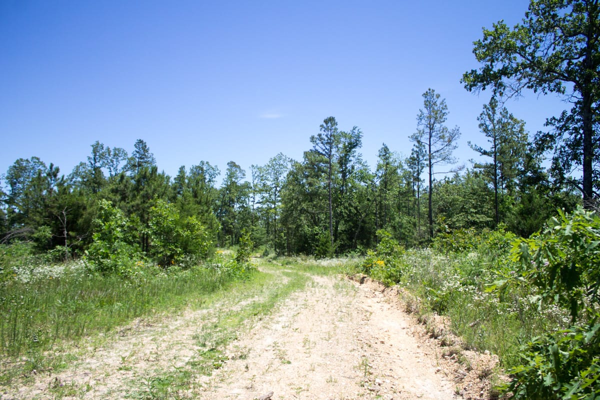 Timber Crossing Tract 22 photo 4
