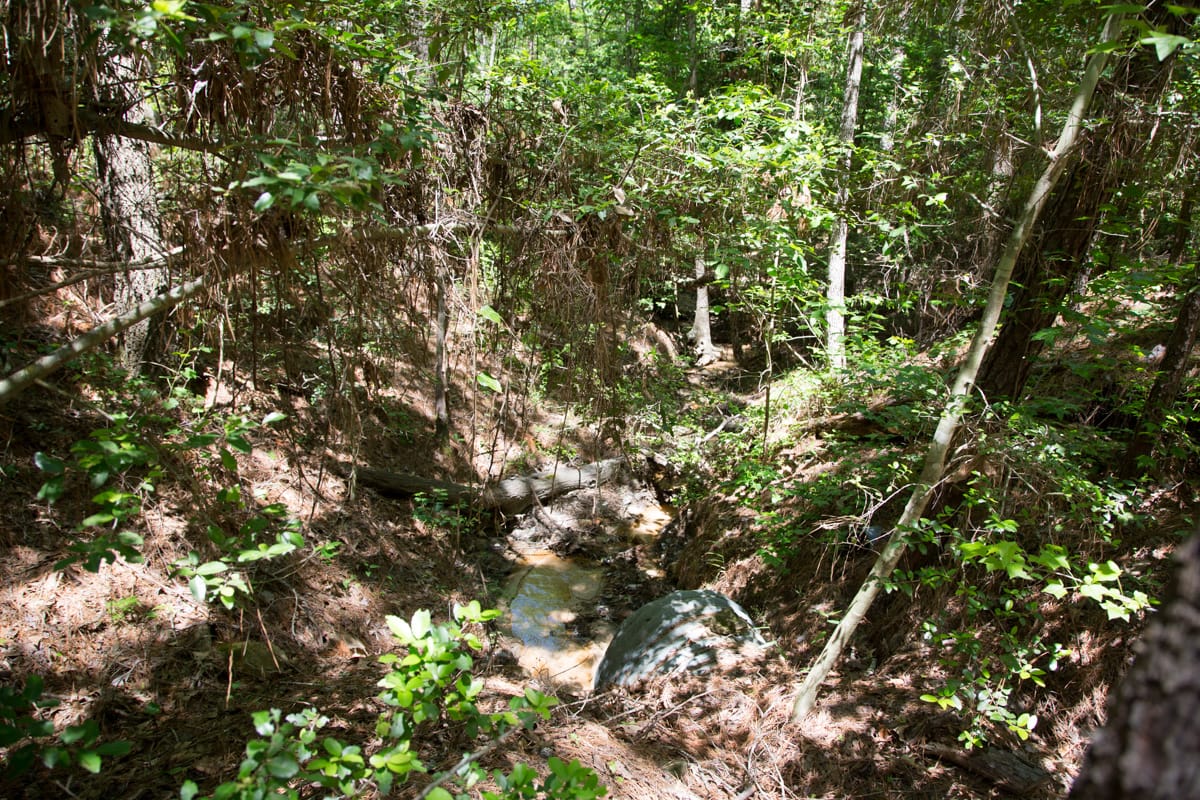 Rayburn Country Tract 243 photo 3