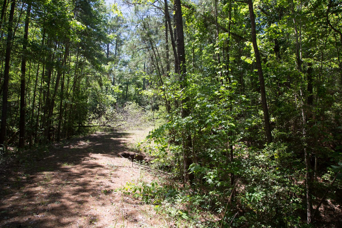 Rayburn Country Tract 243 photo 6