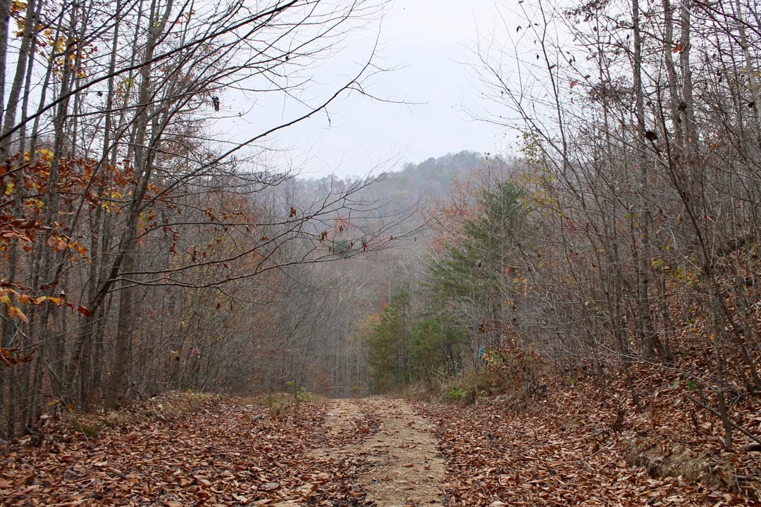 Autumn Ridge Tract 5 photo 2