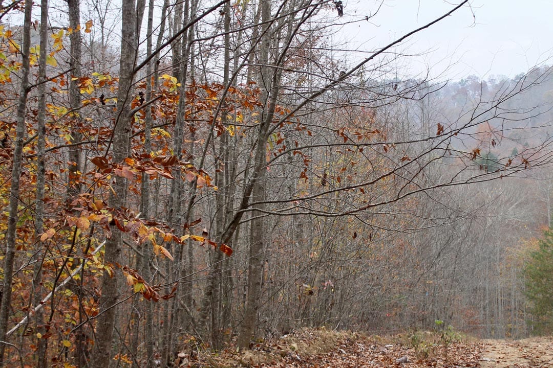 Autumn Ridge Tract 5 photo 3