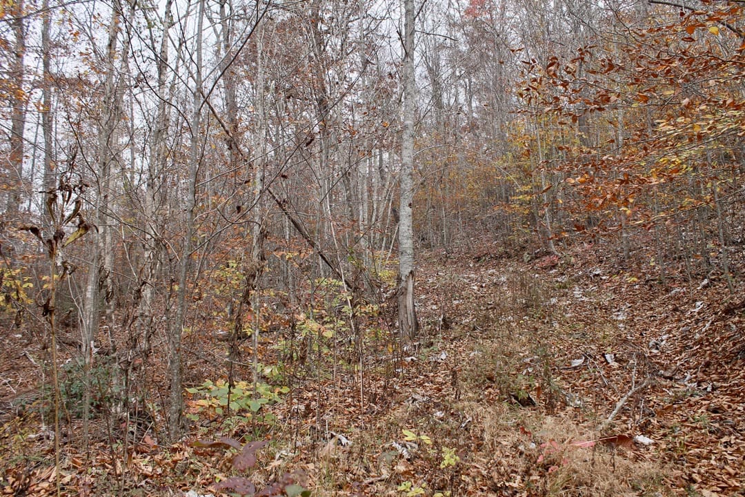 Autumn Ridge Tract 5 photo 4