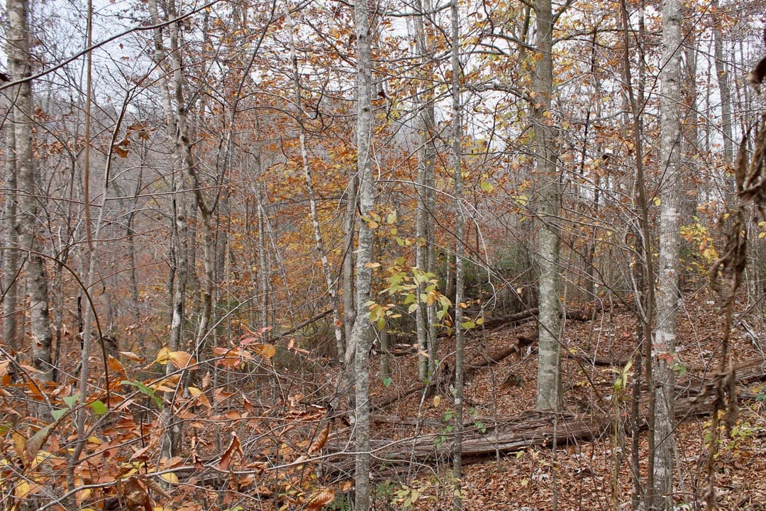 Autumn Ridge Tract 5 photo 5