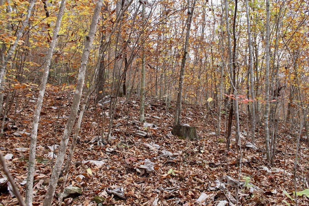 Autumn Ridge Tract 5 photo 6