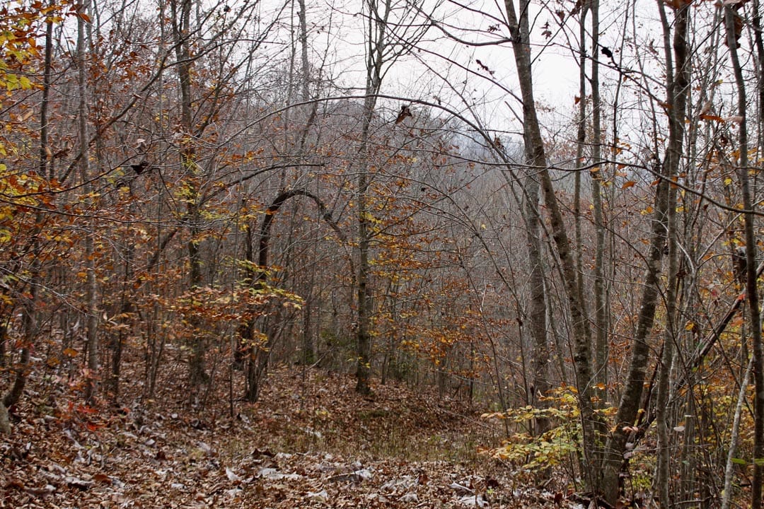 Autumn Ridge Tract 5 photo 7