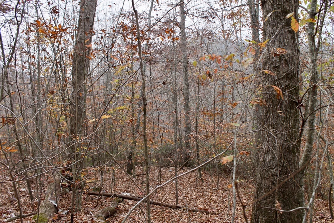 Autumn Ridge Tract 5 photo 8