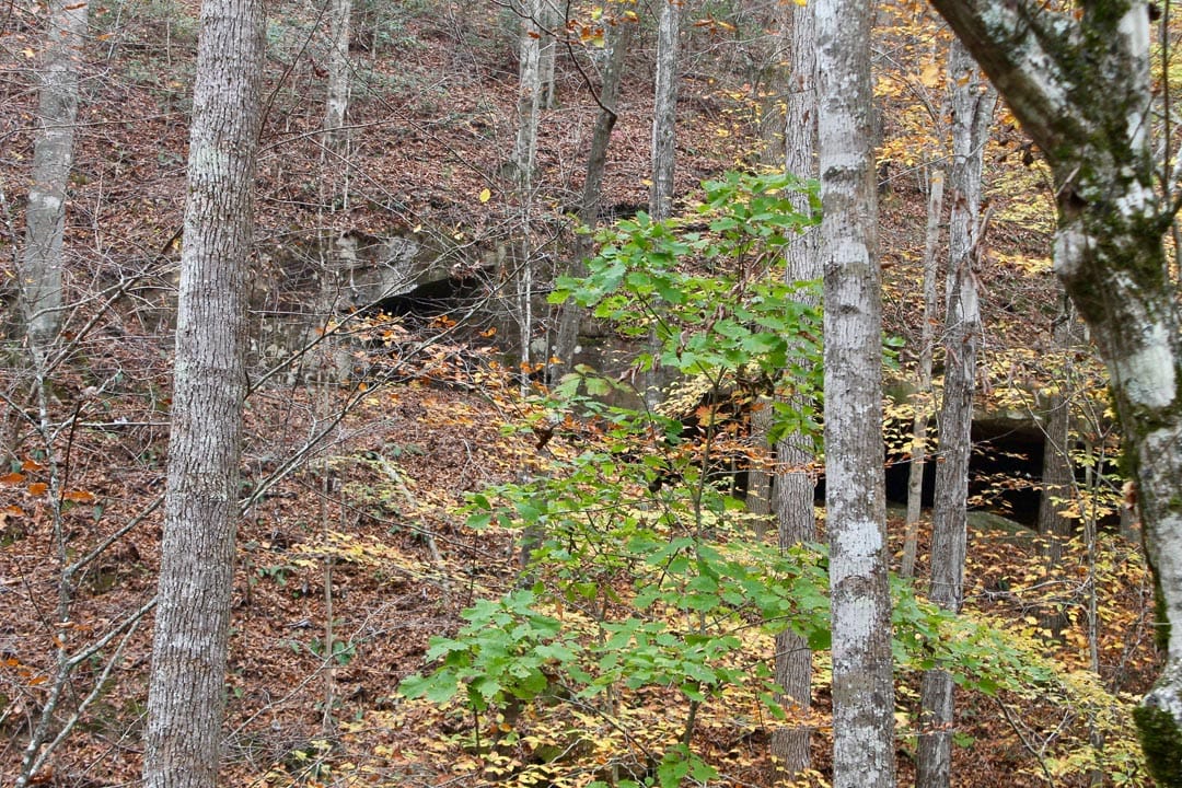 Autumn Ridge Tract 5 photo 13