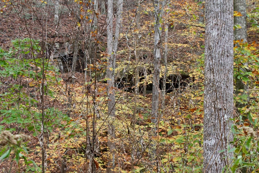 Autumn Ridge Tract 5 photo 14