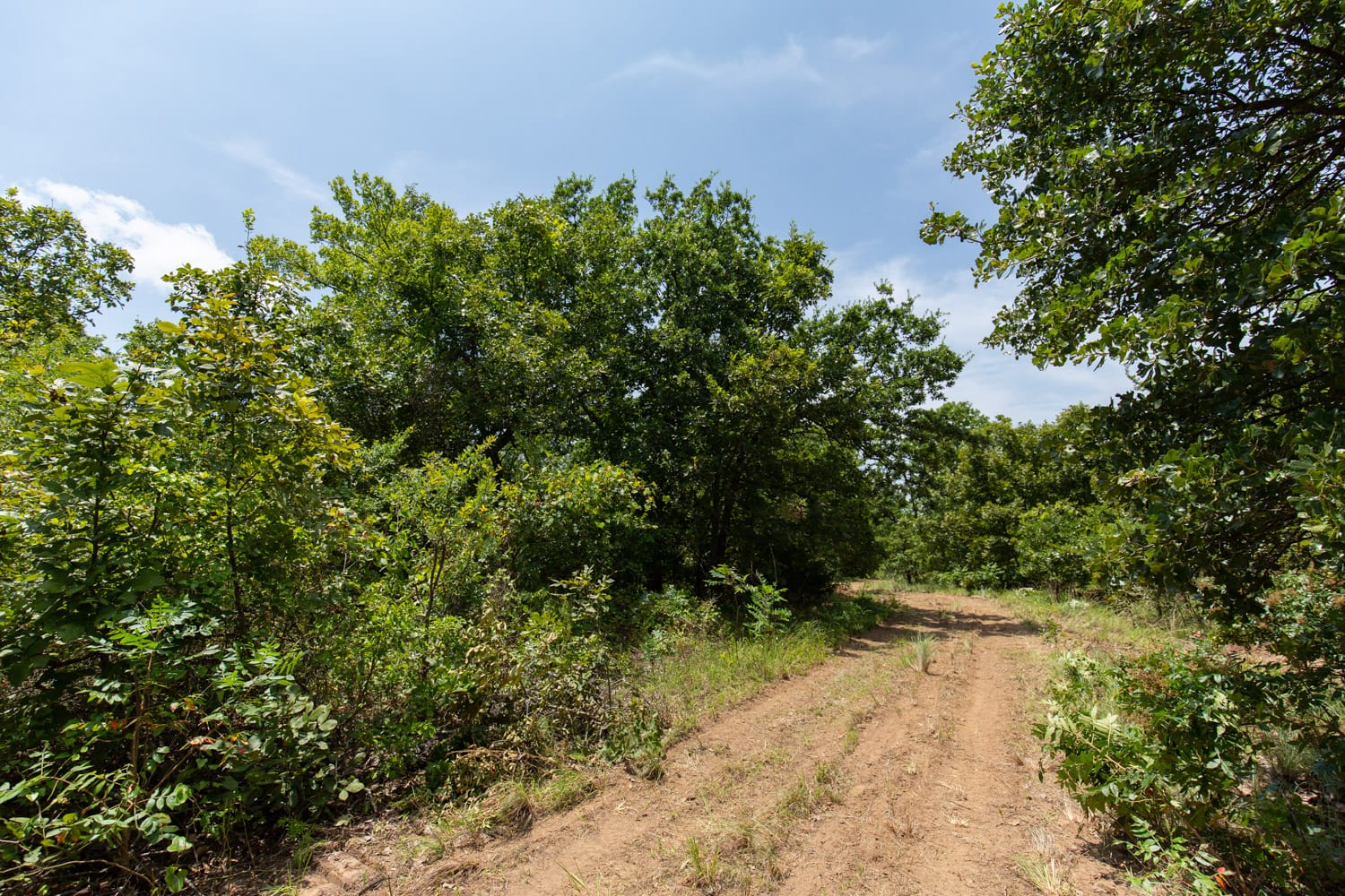 Timber Ridge Tract 60 photo 3