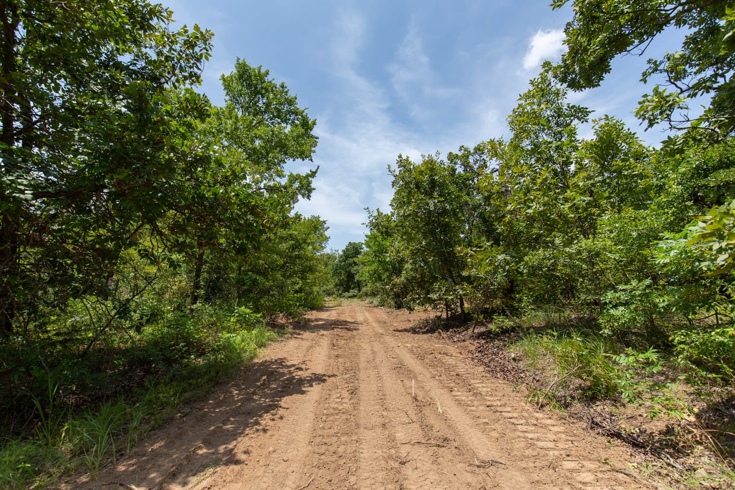 Timber Ridge Tract 60 photo 1