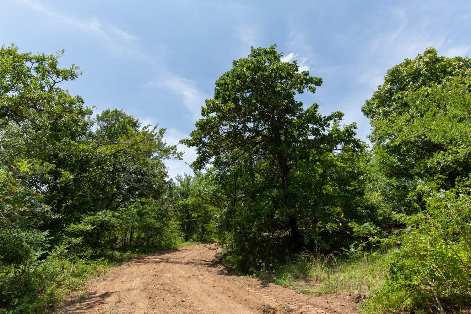 Timber Ridge Tract 60 photo 5