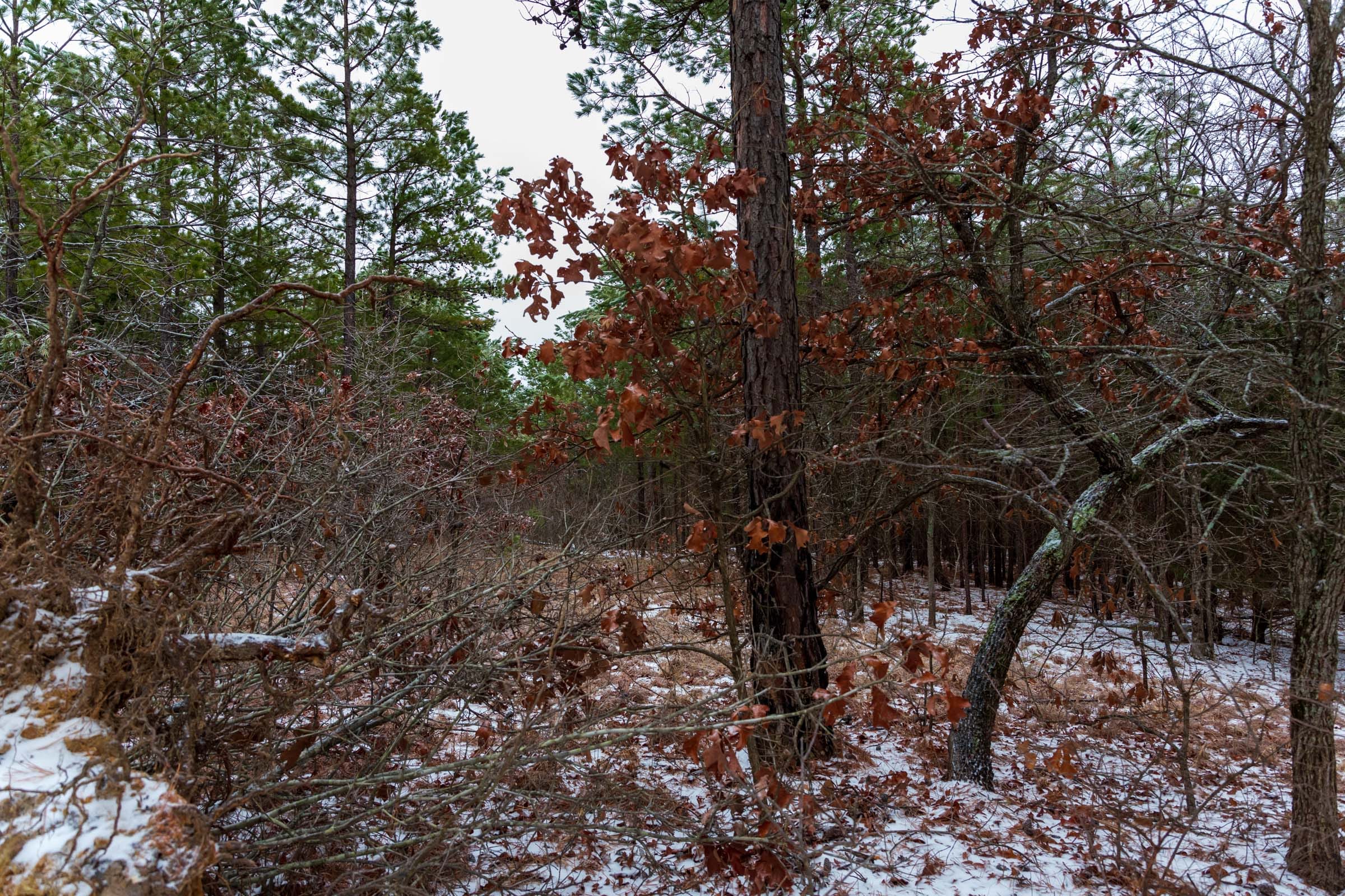 Stone Bridge Phase IV Tract 254 photo 11