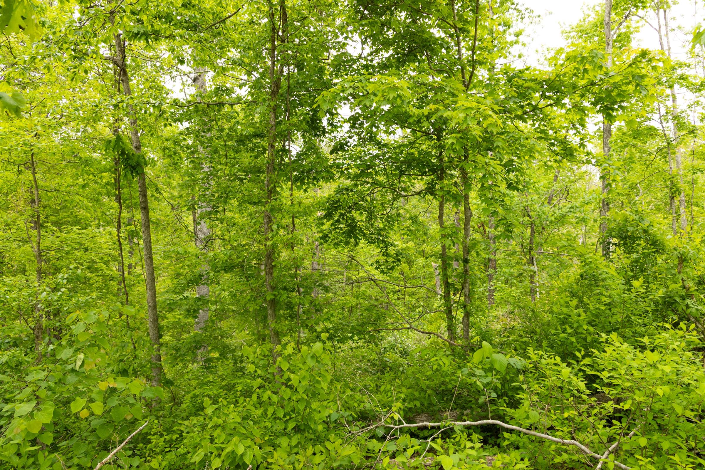 Stardust Estates Tract 31 photo 3
