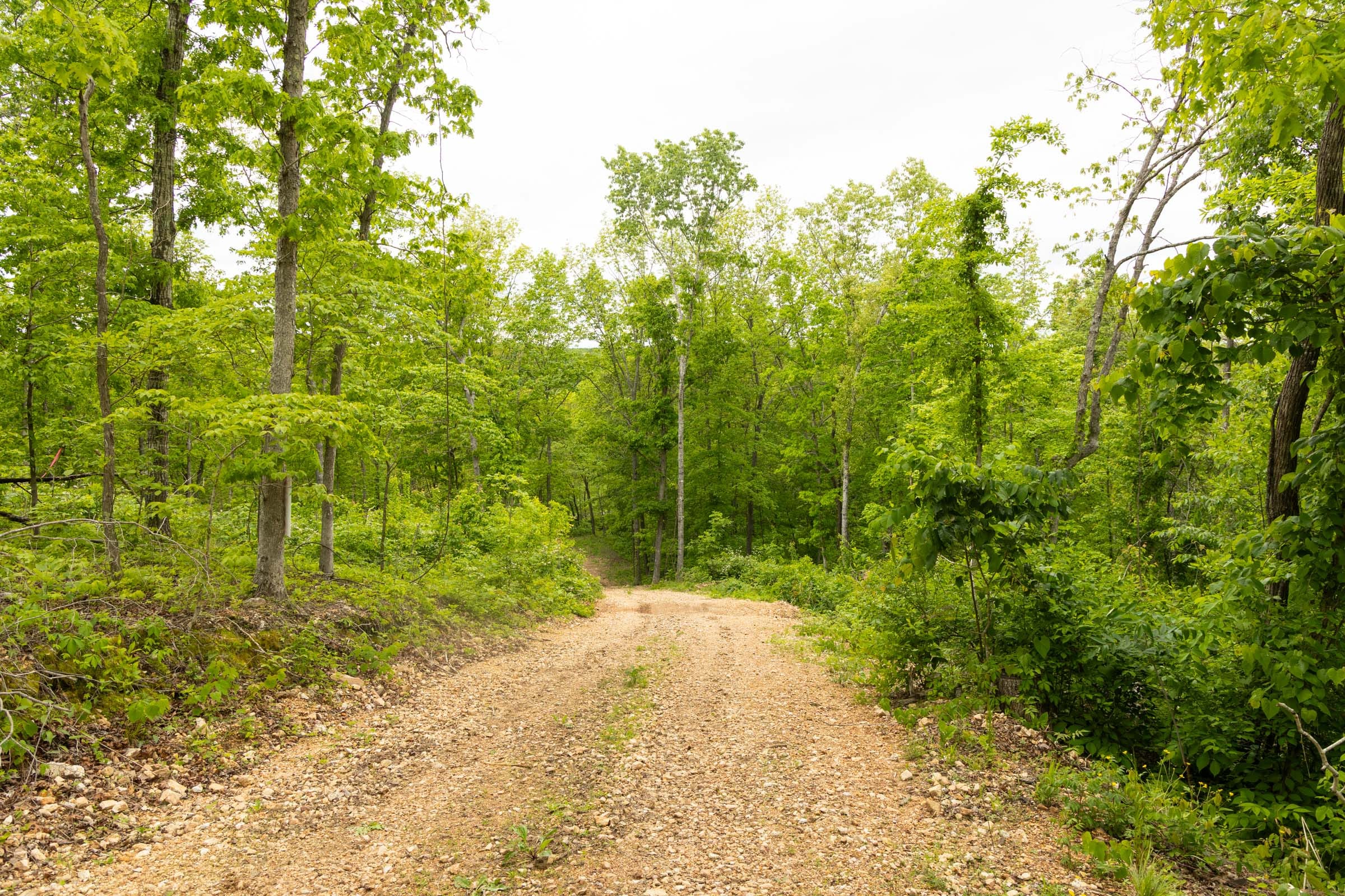 Stardust Estates Tract 31 photo 2