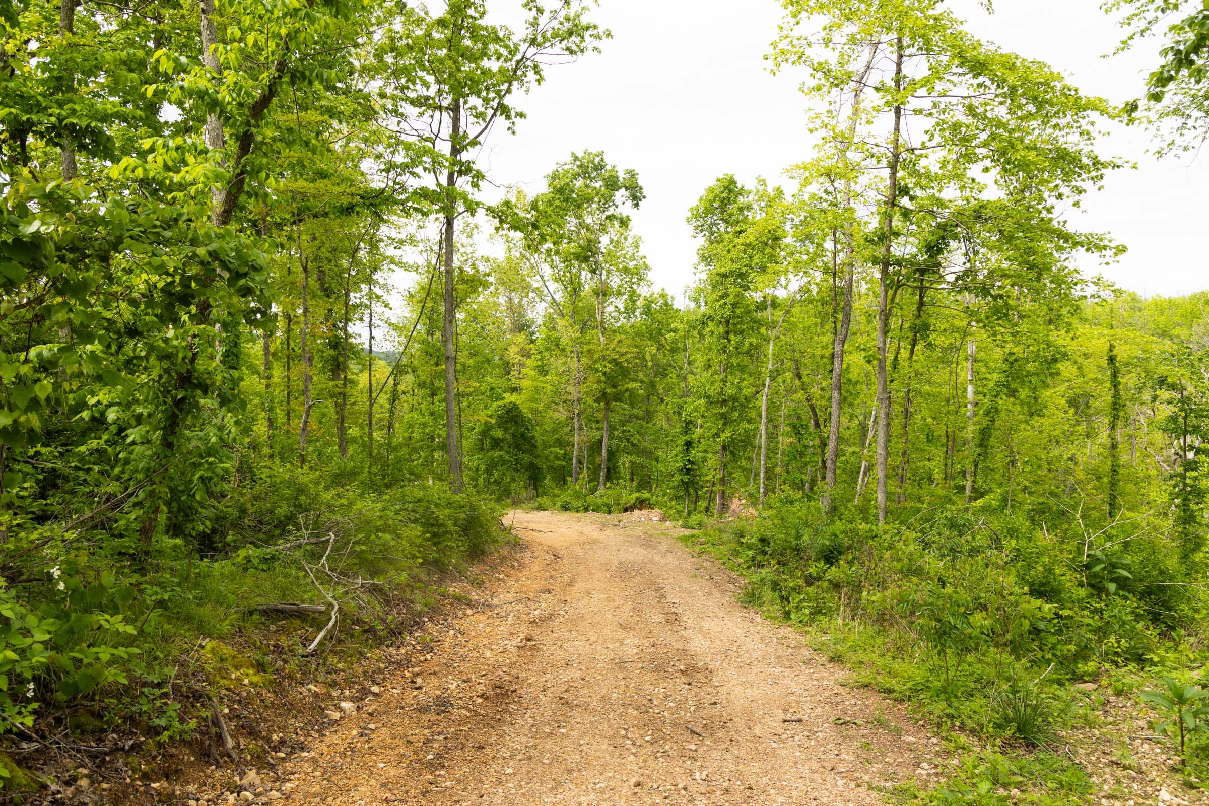 Stardust Estates Tract 31 photo 10