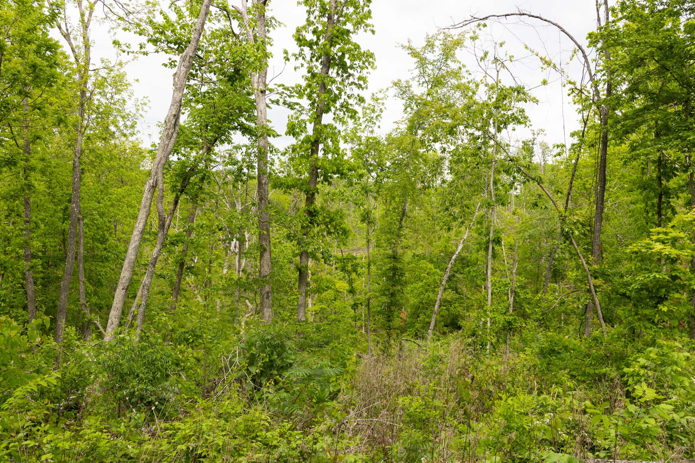 Stardust Estates Tract 31 photo 9