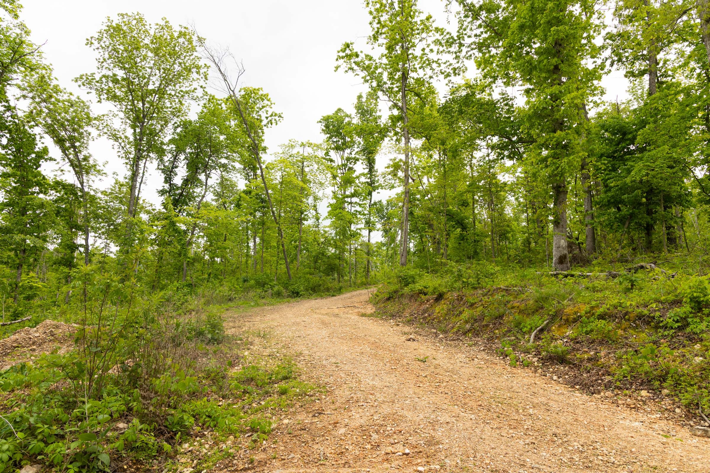 Stardust Estates Tract 31 photo 7