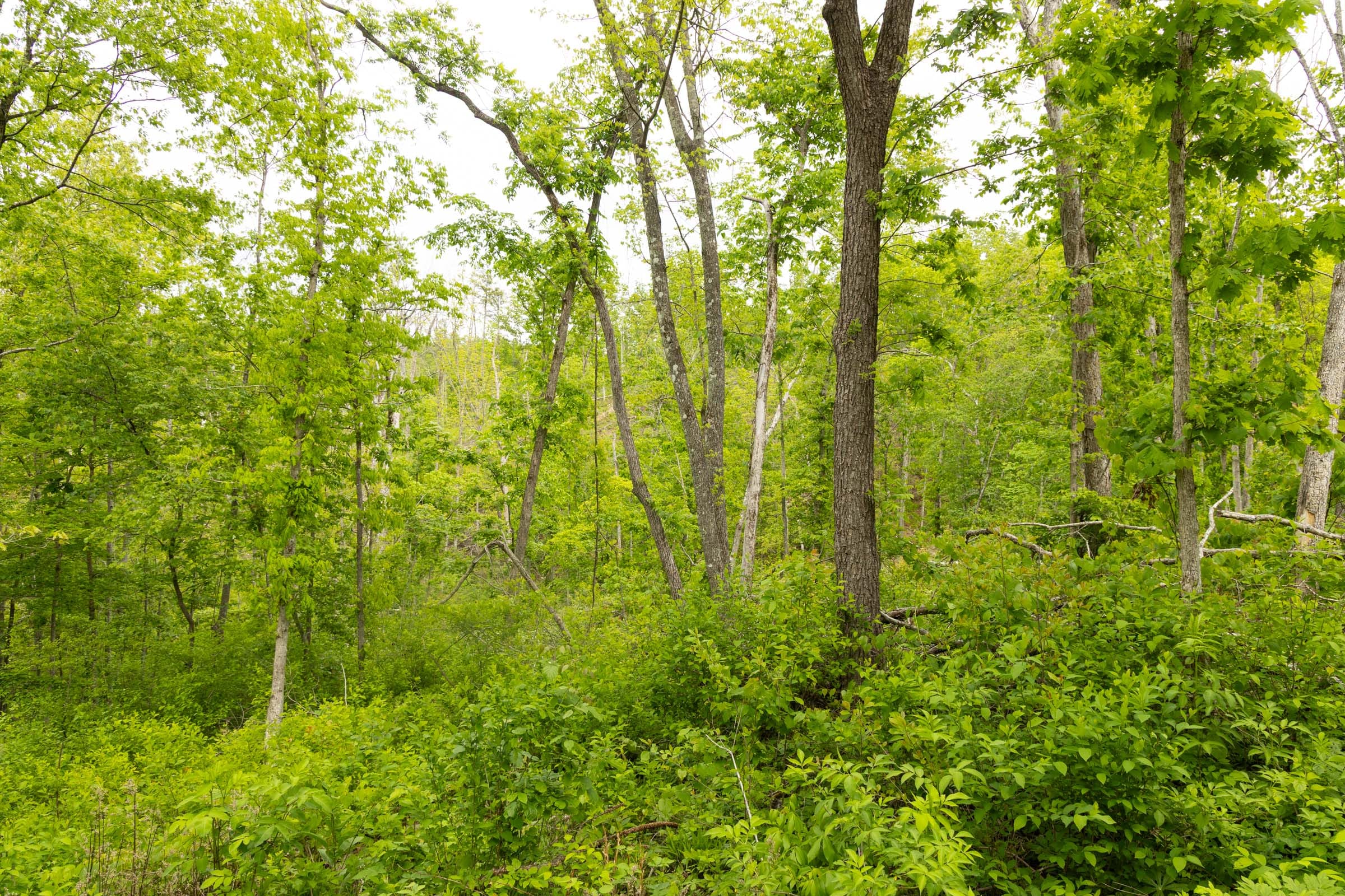 Stardust Estates Tract 31 photo 5