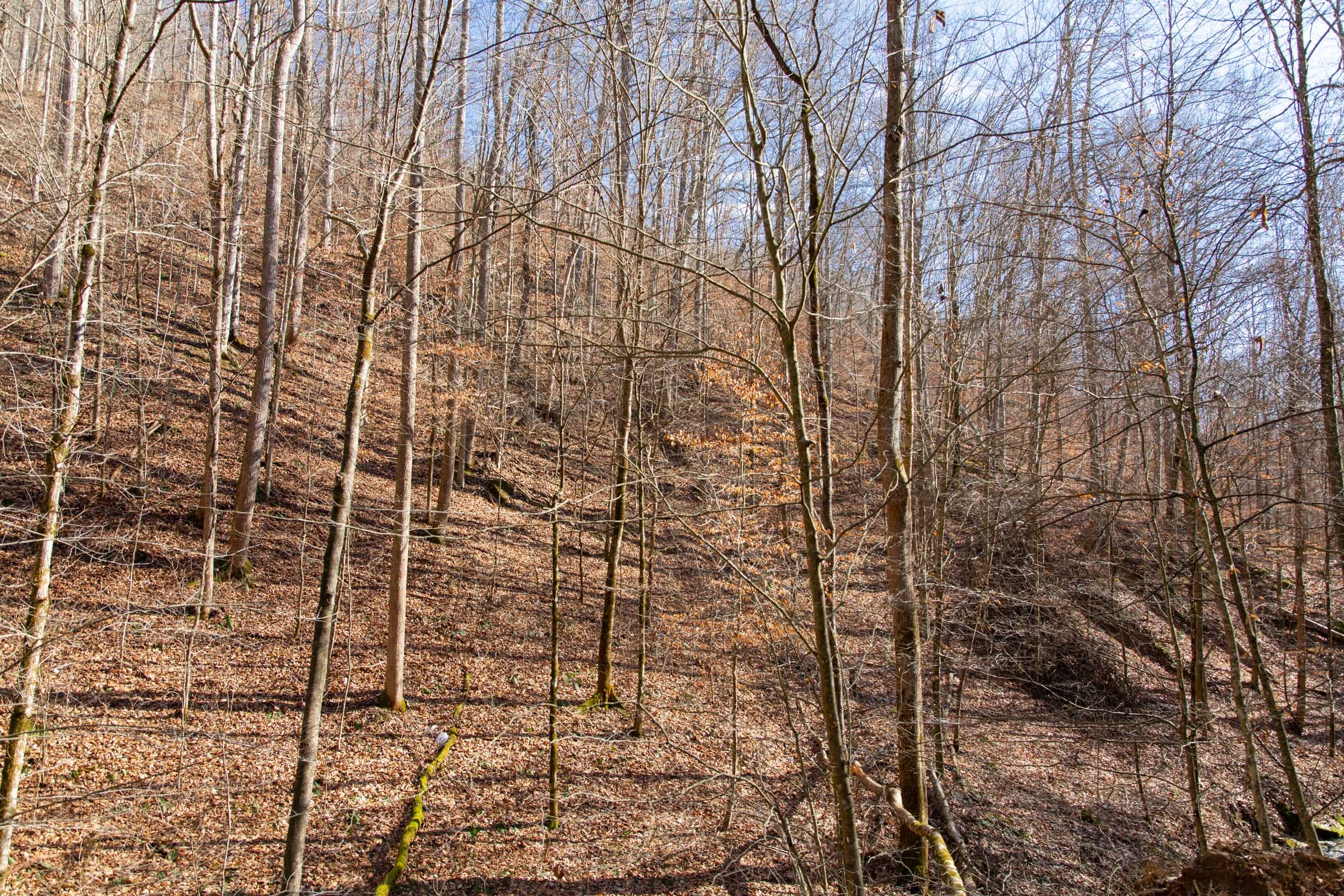Blackstone Mountain Phase I Tract 11 photo 12