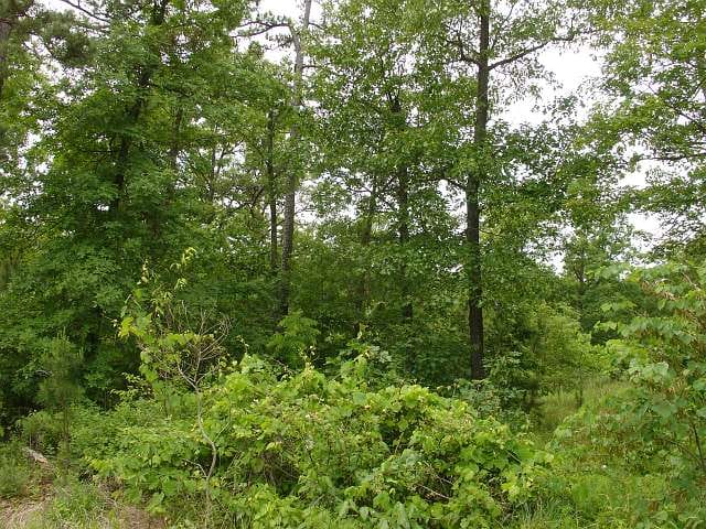 Indian Creek Tract 0 photo 3