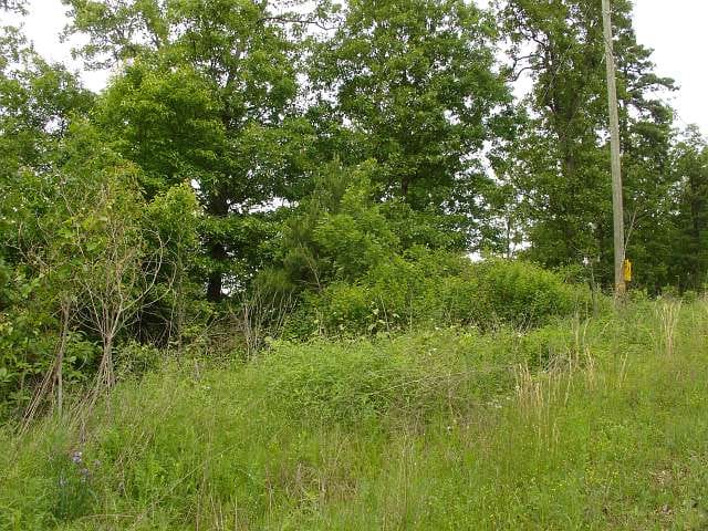 Indian Creek Tract 0 photo 4