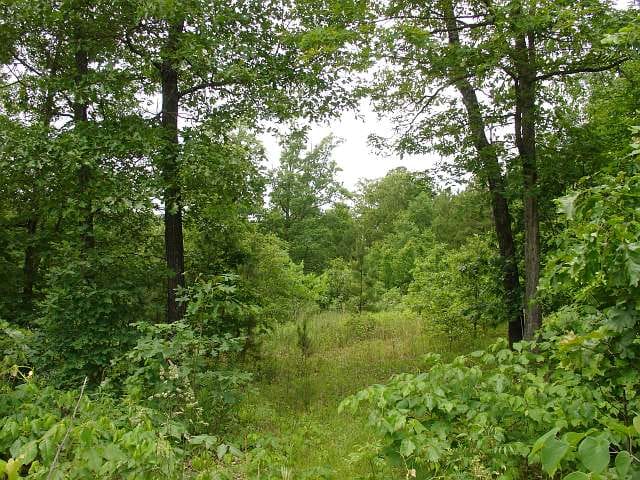 Indian Creek Tract 0 photo 6