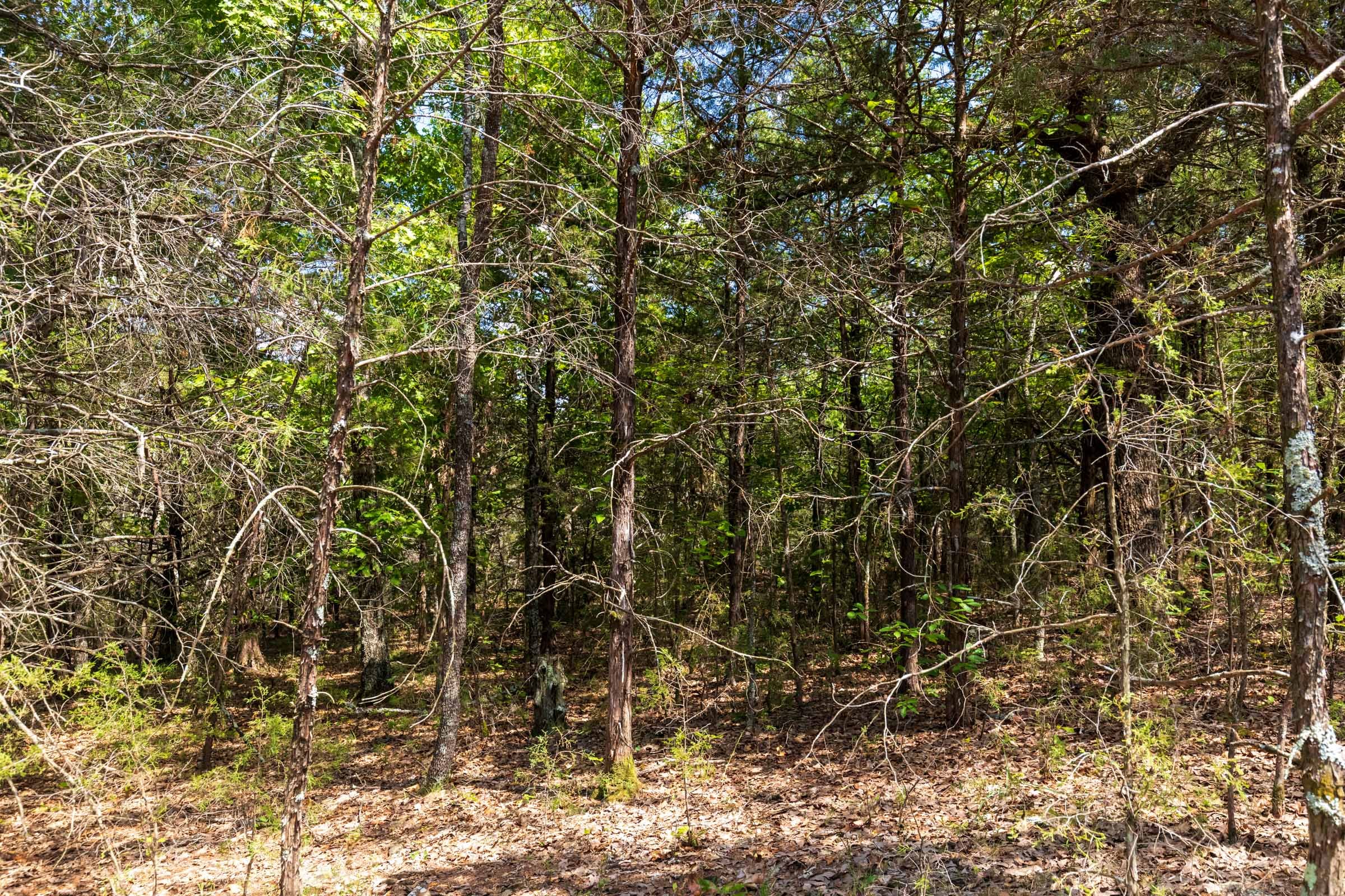 Heritage Bend Tract 32 photo 2