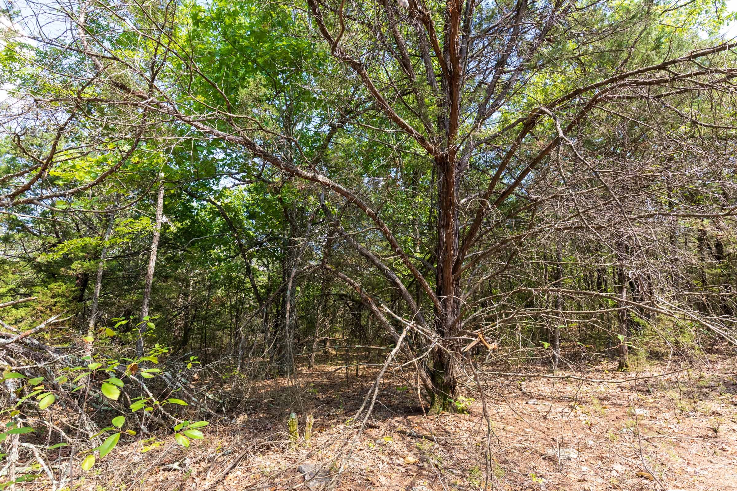 Heritage Bend Tract 32 photo 3