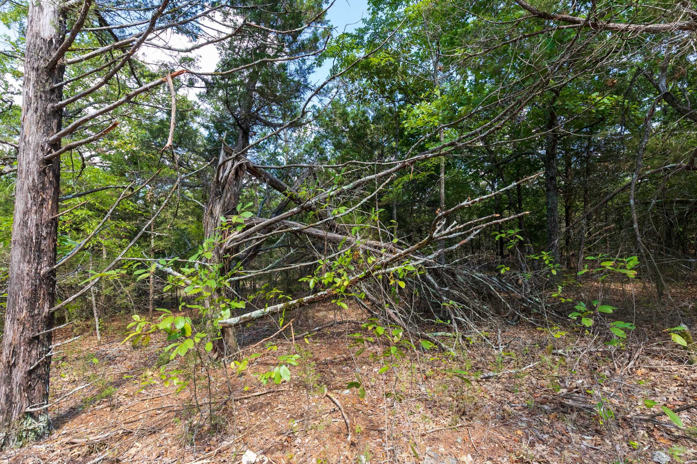 Heritage Bend Tract 32 photo 5