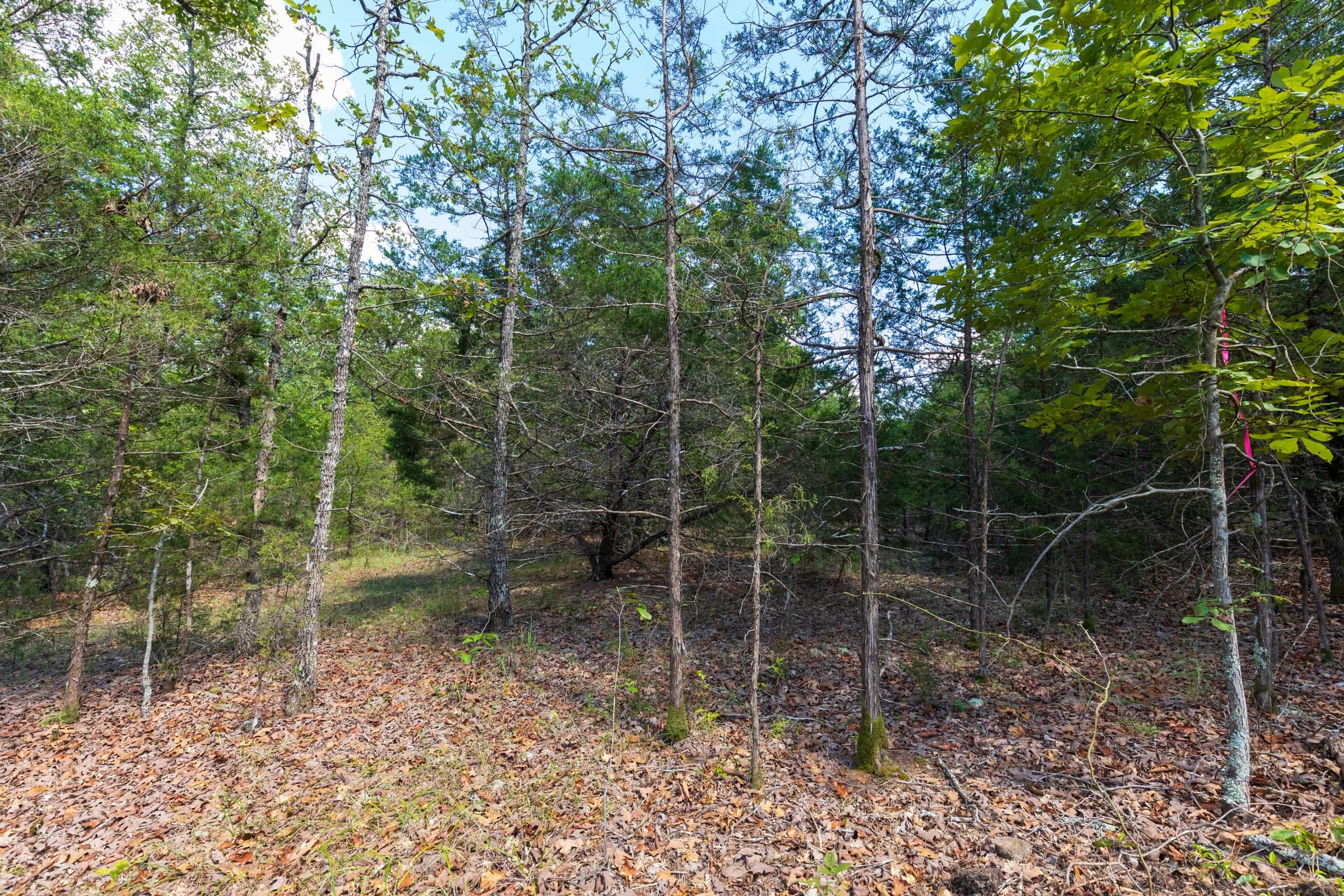 Heritage Bend Tract 32 photo 4