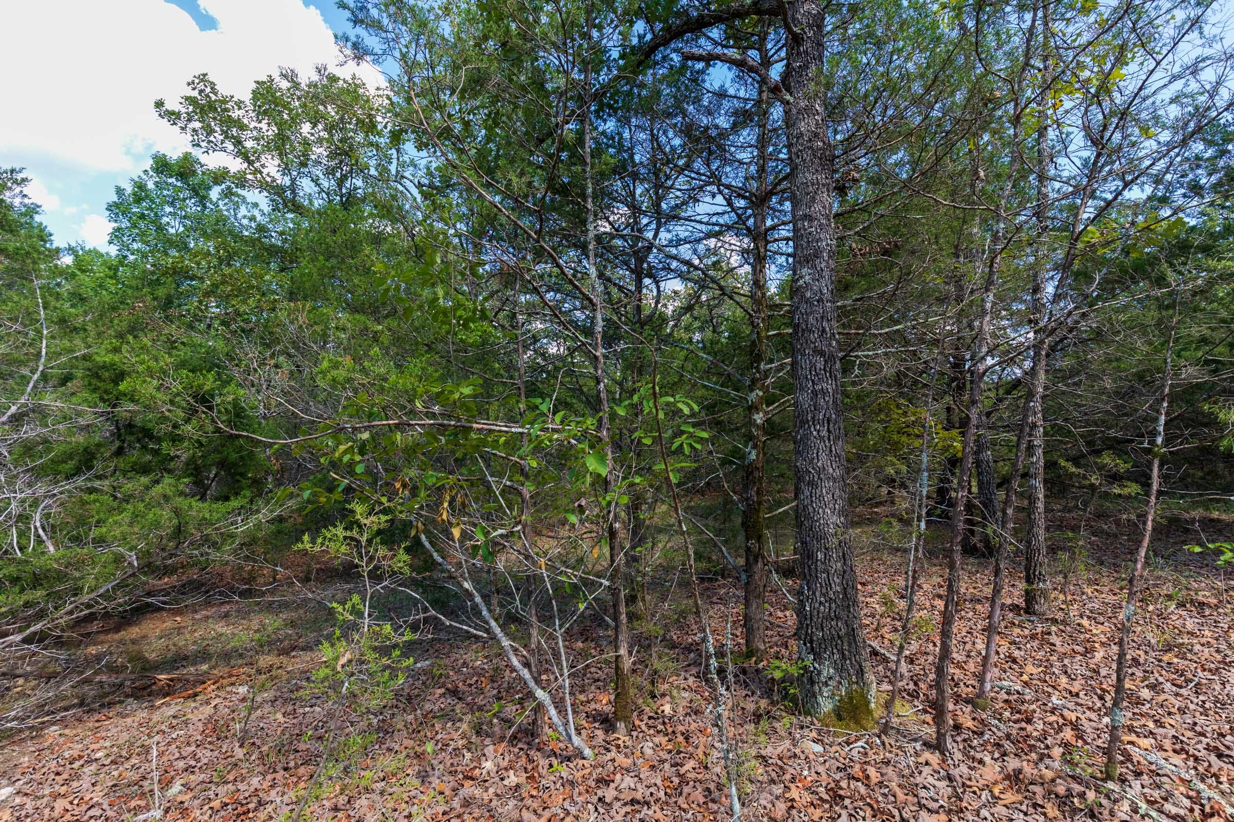 Heritage Bend Tract 32 photo 6