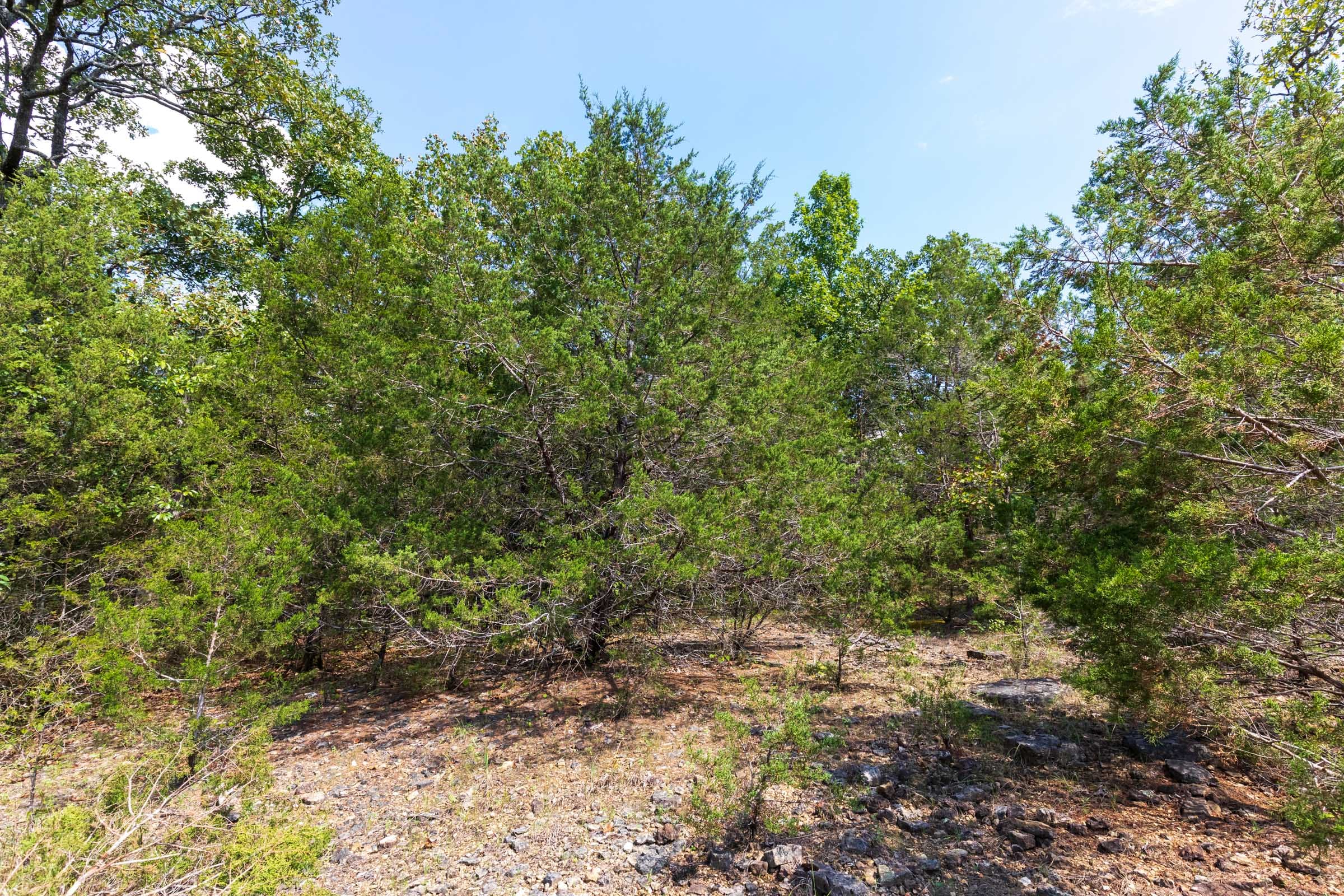 Heritage Bend Tract 32 photo 10
