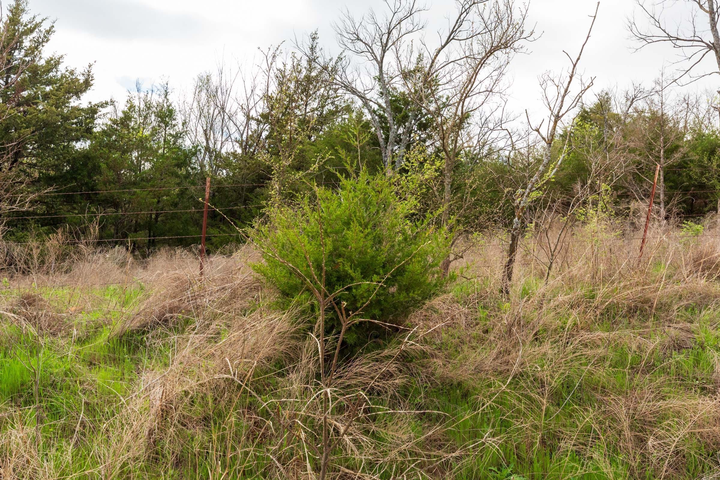 Moonrise Meadows Tract 22 photo 4