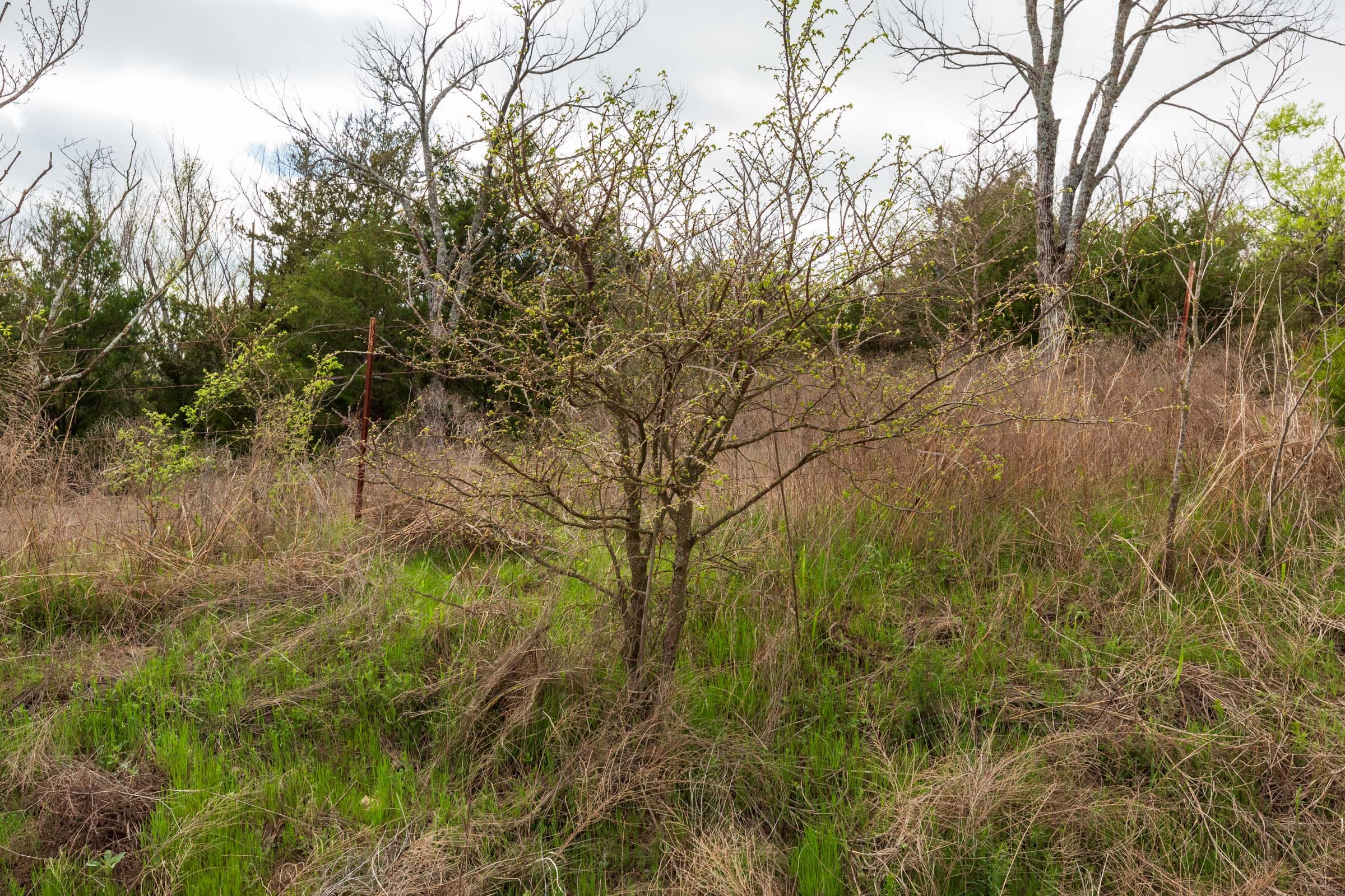 Moonrise Meadows Tract 22 photo 11