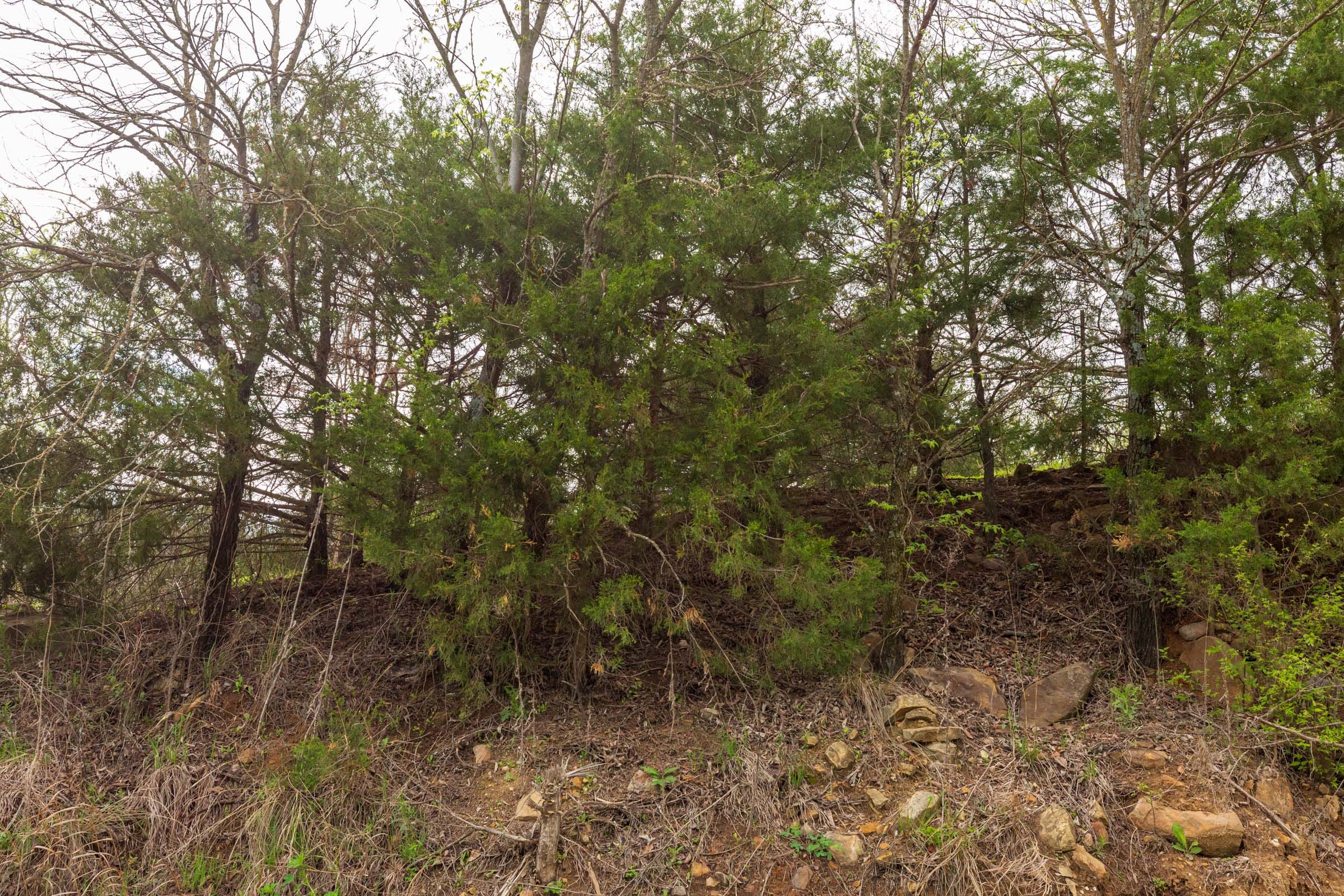 Moonrise Meadows Tract 22 photo 13