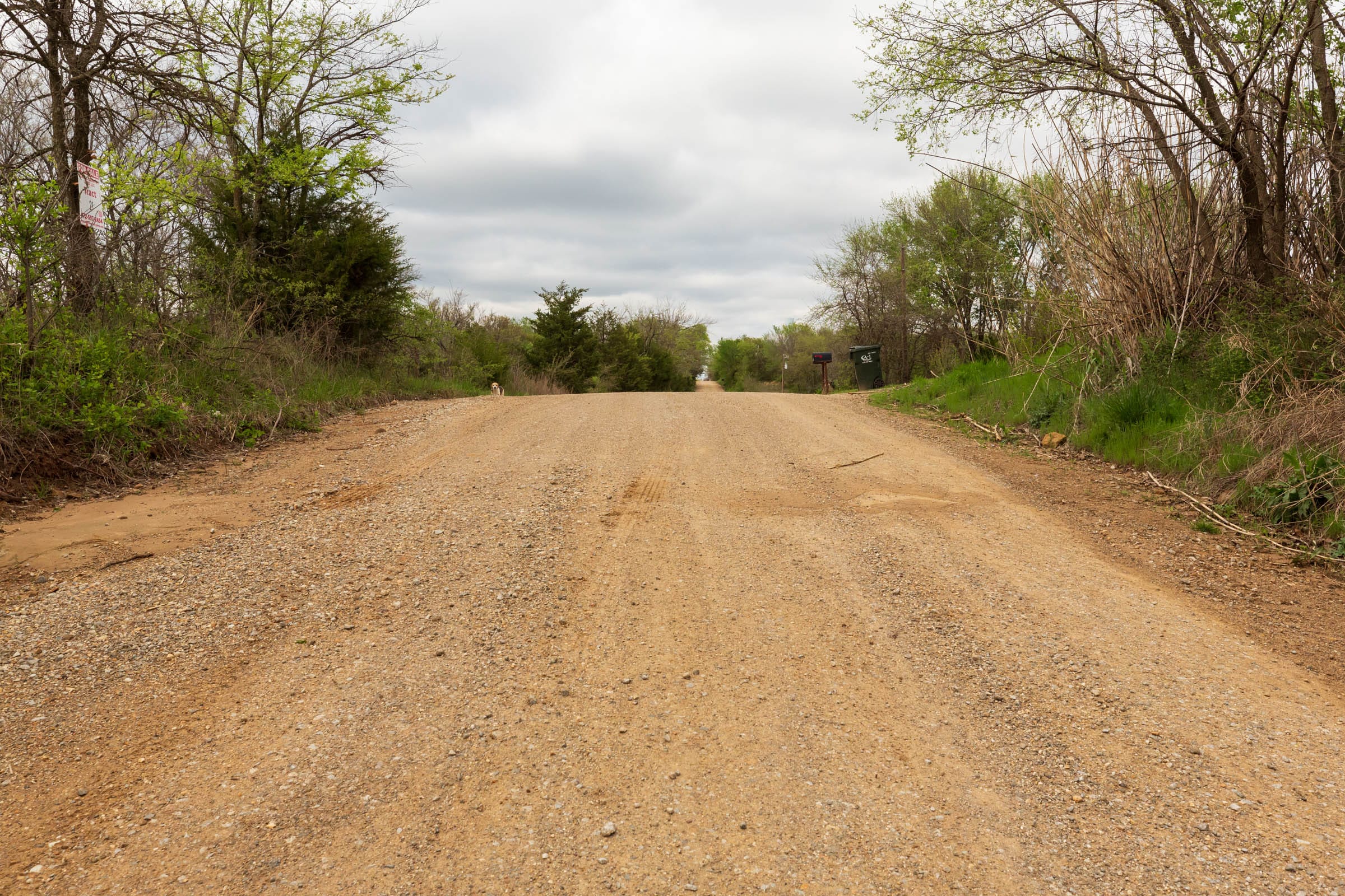 Moonrise Meadows Tract 22 photo 6