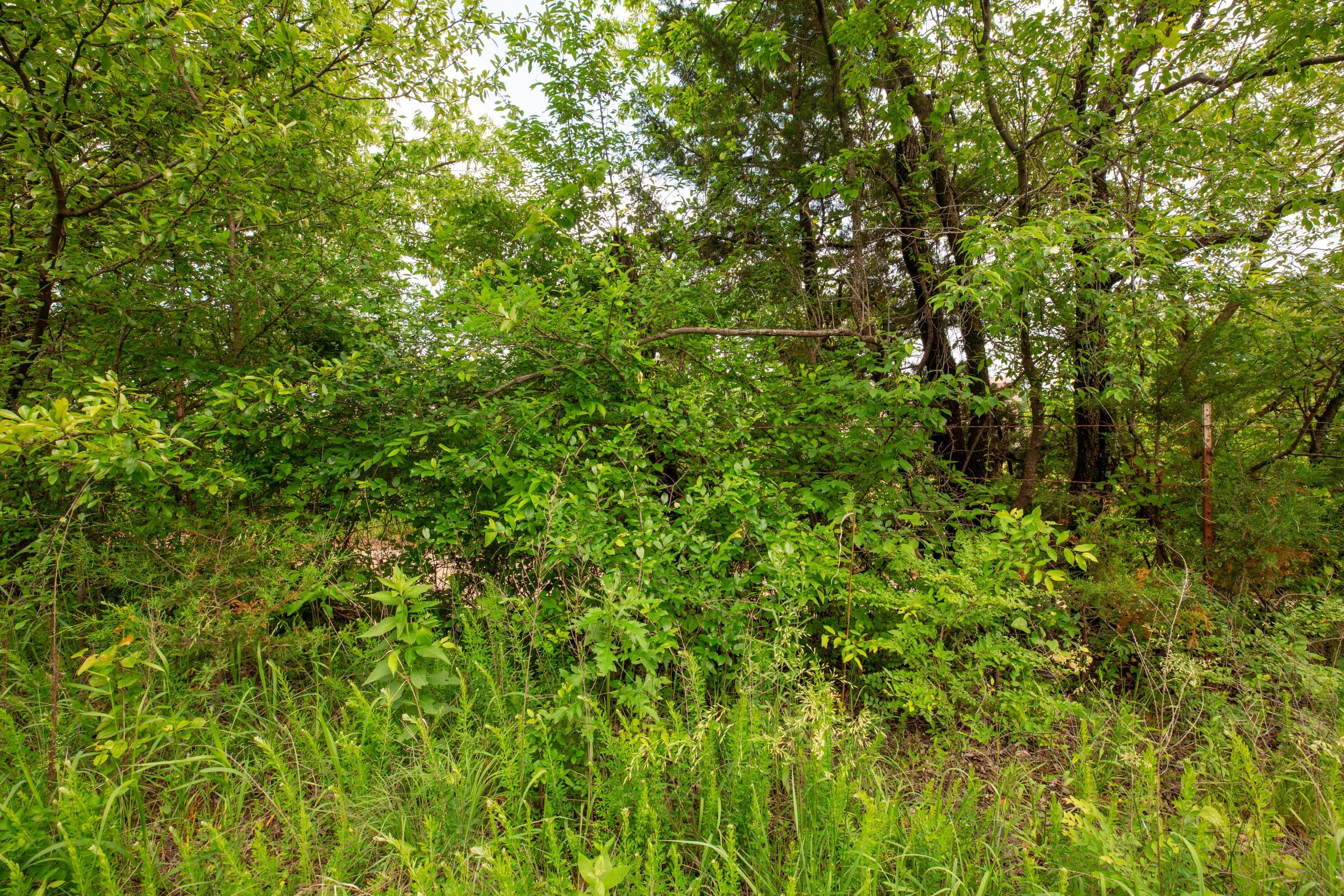 Moonrise Meadows Tract 22 photo 10