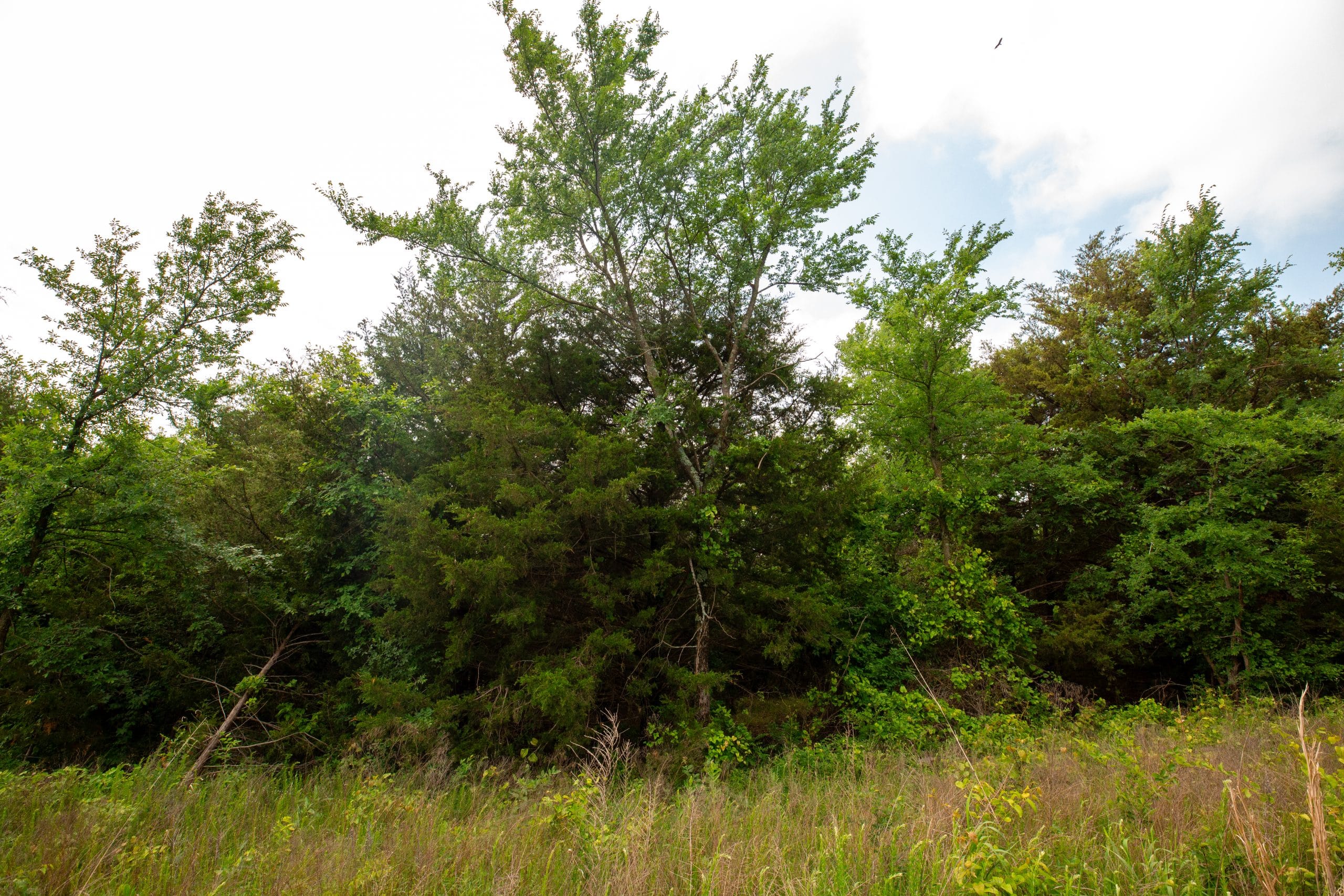 Moonrise Meadows Tract 22 photo 5