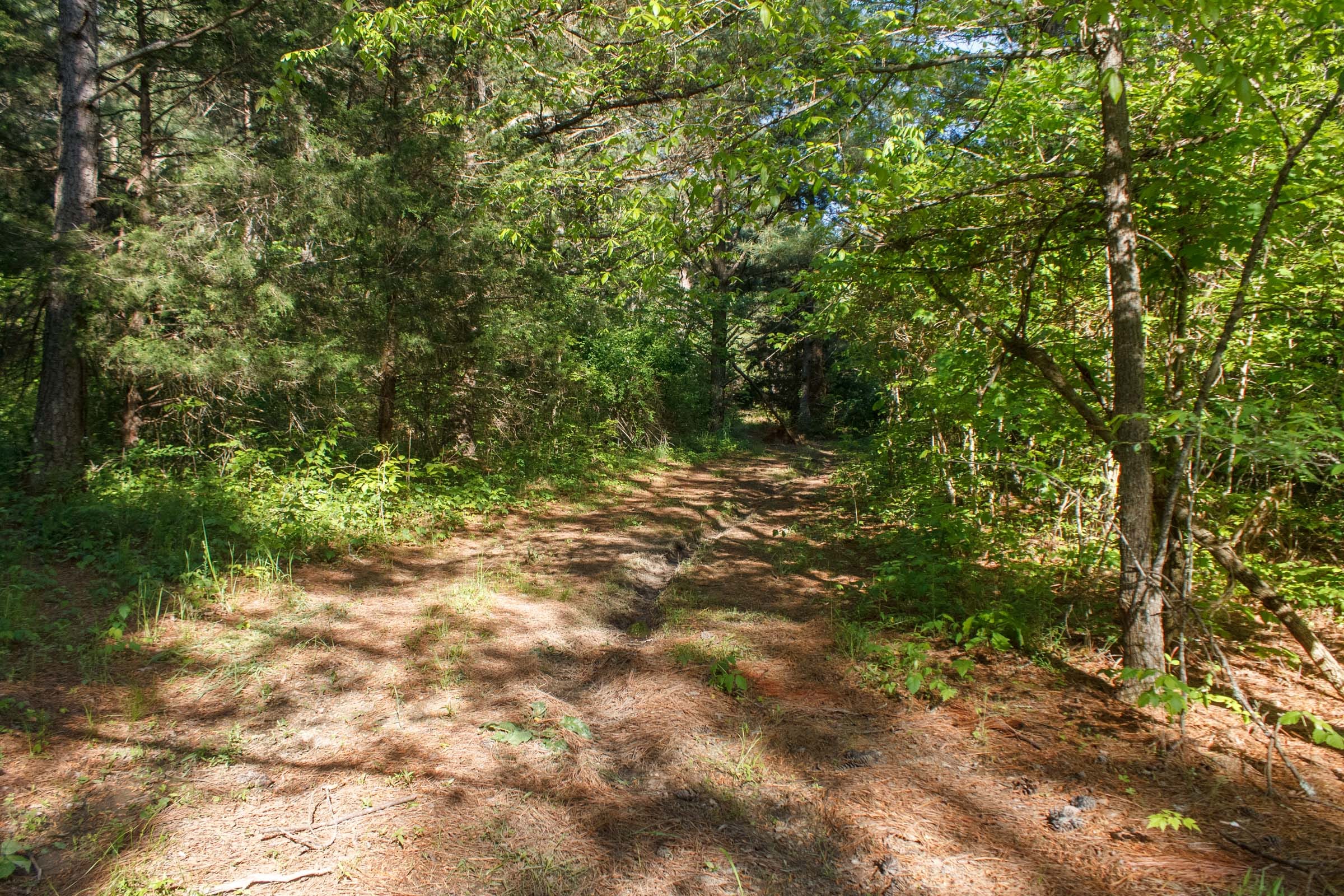 Riverbend Tract 20 photo 1