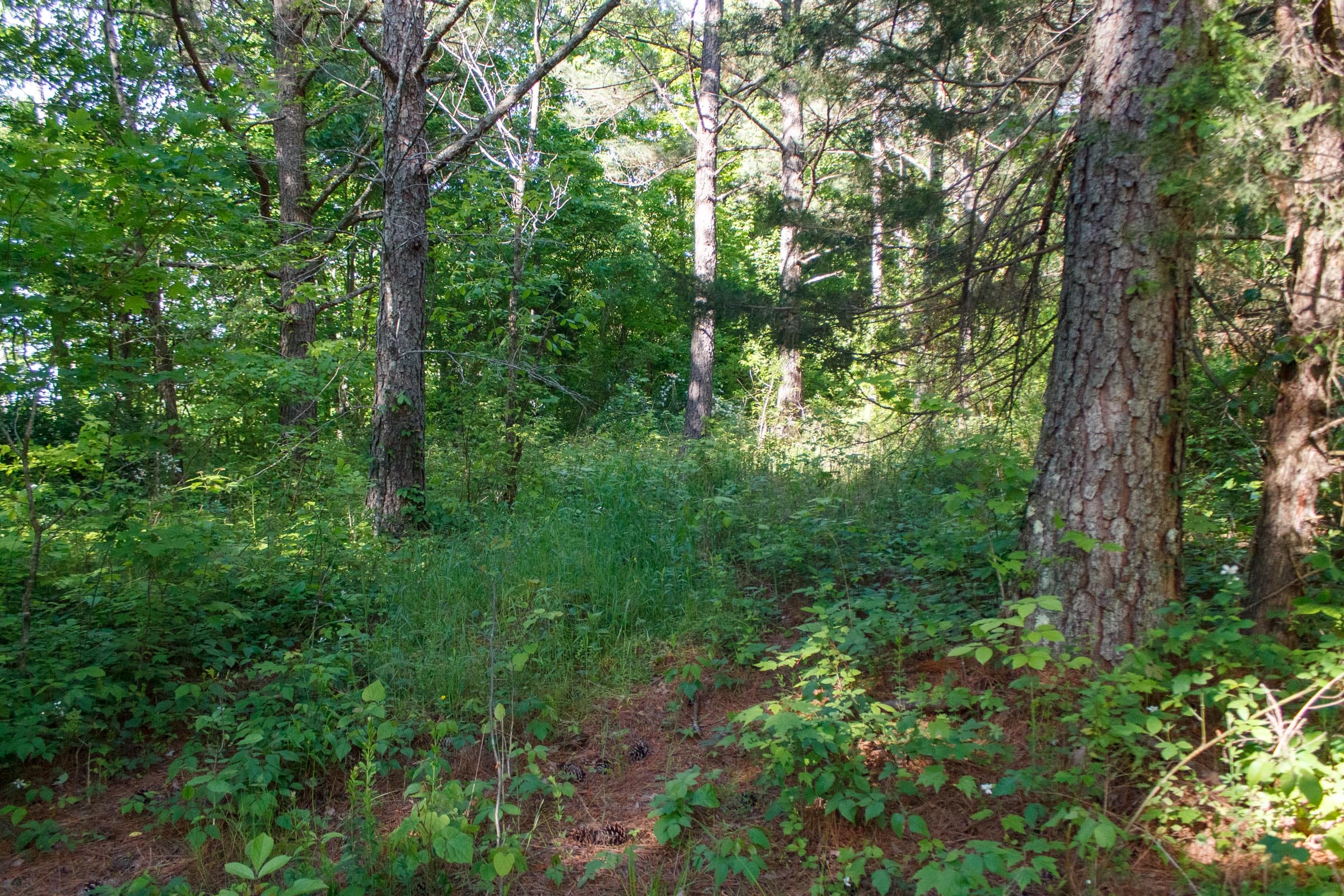 Riverbend Tract 20 photo 2