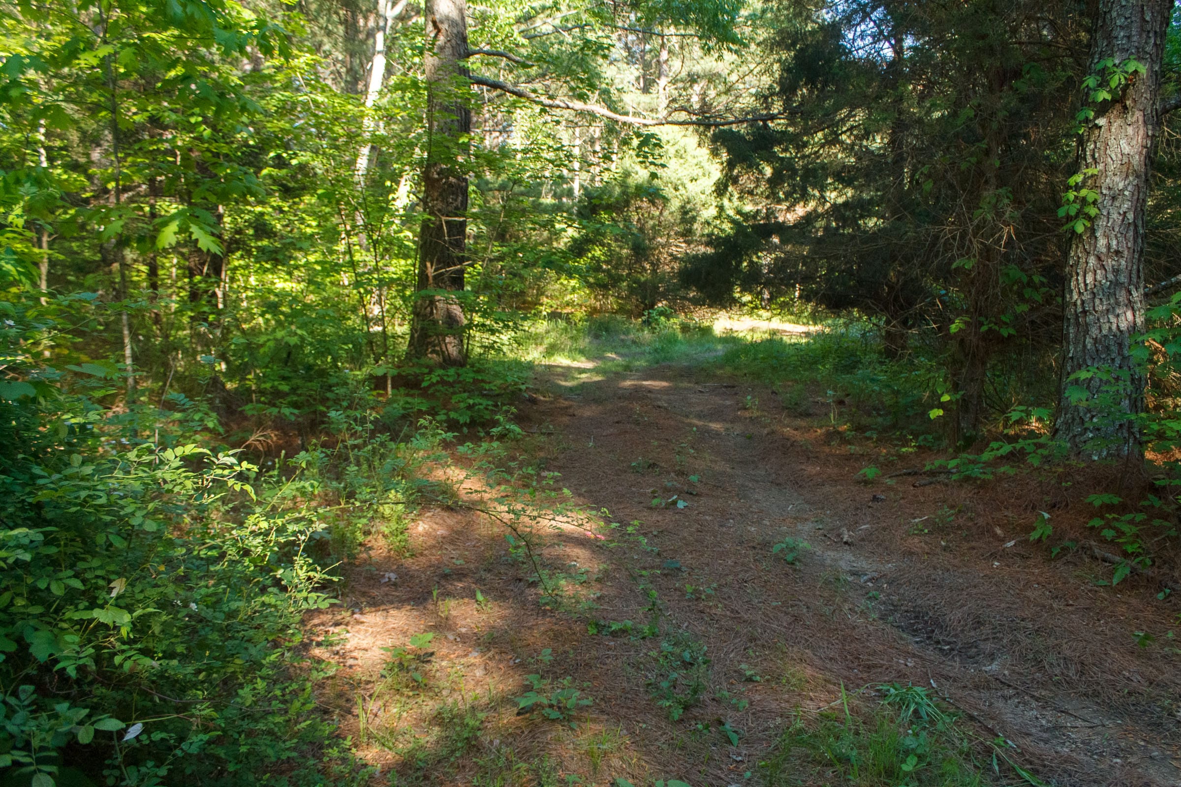 Riverbend Tract 20 photo 11