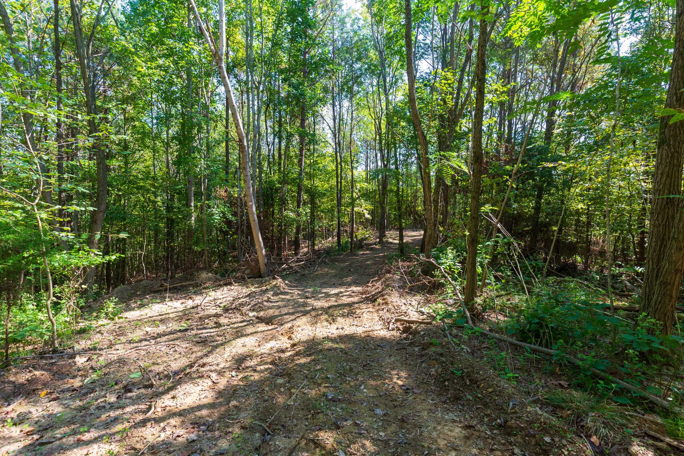 Redemption Ridge Tract 12 photo 1